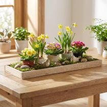 Artikel Decoratief dienblad langwerpig houten dienblad naturel 42×14×3cm 3st