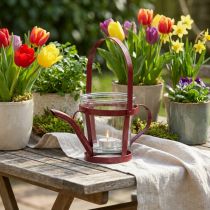 Artikel Lantaarn glazen decoratieve gieter metaal rood Ø14cm H13cm