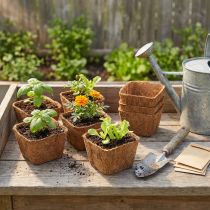 Artikel Kweekpotten kokosvezel bloempot natuurlijk materiaal kokosnoot plantenpot 11cm 12st