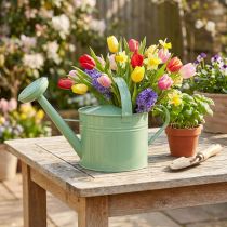Artikel Decoratieve metalen gieter, mintkleur, voor planten &amp; decoratie, lente/zomer, H26cm, 5L