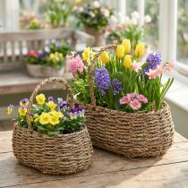 Artikel Plantenmand met handvat mand bloemenmand L23/35cm set van 2