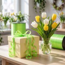 Artikel Krullint appelgroen 4,8mm 500m