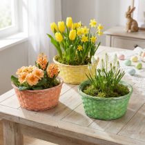 Artikel Plantenmand rond Ø25cm oranje, geel, groen 6 st