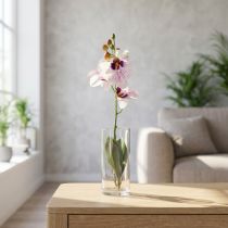 Artikel Kunstmatige Phalaenopsis-orchidee, wit en paars, 43 cm