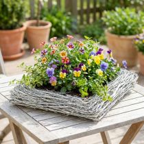 Artikel Rustiek plantenkussen "Takken" Wit Gewassen Decoratie 40x40cm