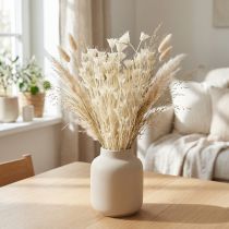 Artikel Nigella Orientalis Gedroogde Bloemen Zwarte Komijn Wit 50cm 100g