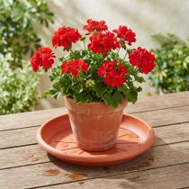 Artikel Onderzetter “Linda” Ø33cm terracotta