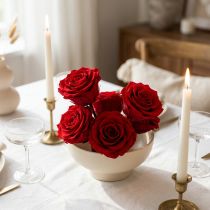 Artikel Geconserveerde rozen medium Ø4-4,5cm rood 8 st