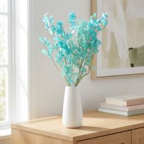 Artikel Zilverblad gedroogd maanviooltje Lunaria lichtblauw 65-70cm 20g