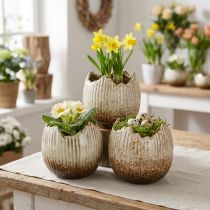 Artikel Bloempot Keramiek Ei Gebroken Crème Bruin Ø9.5cm 3 Stuks