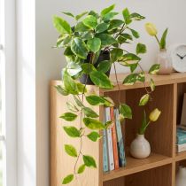 Artikel Philodendron Scindapsus met pot, gemakkelijk te verzorgen - ideaal voor op kantoor en thuis 32cm
