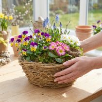 Artikel Bloempot, rond, met rankmotief, naturel, Ø23cm, H9.5cm