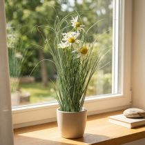 Artikel Gras met Echinacea kunstmatig in een witte pot 56cm