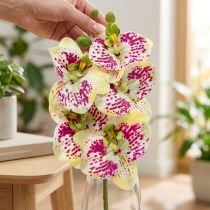 Artikel Orchidee kunsttak Phaelaenopsis Groen Roze H49cm