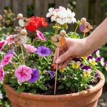 Artikel Houten tuinstekers in de vorm van vogels voor creatieve decoratie in de lente en zomer, 33 cm, 16 stuks