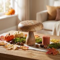 Artikel Houten paddestoeldecoratie paddestoelhoutdecoratie naturel herfstdecoratie Ø15cm H14,5cm