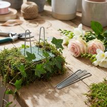 Artikel Ivy Pins 80mm Gegalvaniseerde bloemistpins 400g
