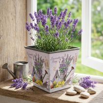 Artikel Plantenpot lavendel motief, vierkante sierpot, kunststof sierpot H13cm B13.5cm