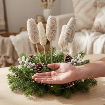 Artikel Luffa klein op een stokje white washed 25 st