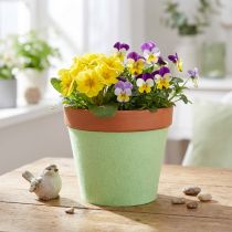 Artikel Vilten tape pottentape lichtgroen 15cm 5m