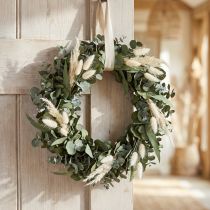 Artikel Eucalyptus natuurlijke krans Ø35cm geconserveerde geurende decoratie