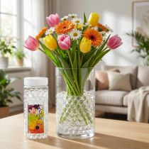 Artikel Aqualinos Aqua Pearls Decoratieve Waterparels voor Planten Transparant 15-18mm 500ml