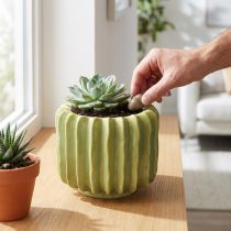 Artikel Cactusbloempot, ideale schaal voor exotische woonaccessoires, 16 cm