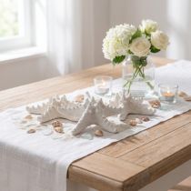 Artikel Zeesterren decoratie grote gedroogde witte zeester met studs 15-18cm 10 stuks
