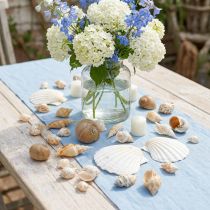 Artikel Decoratieve slakkenhuizen Zeeslakken natuur Maritieme decoratie 350g