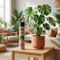 Artikel Oasis Floralife Bladglans Bladglans Spray 750ml
