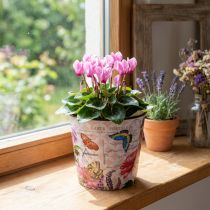Artikel Bloempot bloempot kunststof Ø15,5 × H13cm
