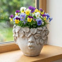 Artikel Plantenkop bloempot betonlook meisjeshoofd H13,5cm