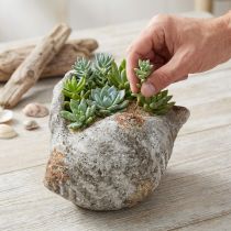 Artikel Bloempot schelpsteen antiek grijs maritiem 22×18×13cm