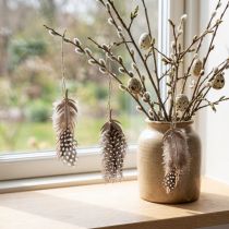 Artikel Decoratieve verenhanger houten natuurlijke veer 9,5/10cm 9 st