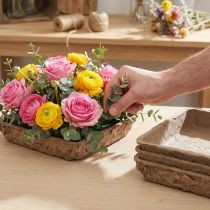 Artikel Oasis Biolit Basic Steekschuim 13x13x2cm 12-delige set Bloemendecoratie DIY