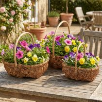 Artikel Mand plantenmand geweven mand met handvat naturel 33/28/22cm set van 3