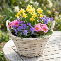 Artikel Mand met handvatten Chipmand plantenmand gewit Ø18cm H12cm