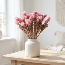 Artikel Droogbloemen Hoedbloemen Roze strobloemen Droogbloemen H30cm
