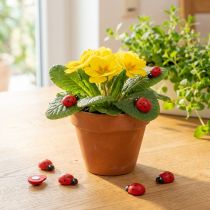 Artikel Decoratieve lieveheersbeestjes om te lijmen 2,5cm rood 72 st