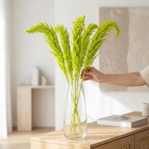 Artikel Gedroogde bloemen Amarant geverfd voor bijzondere woondecoratie en unieke accenten 100 cm, 5 stuks