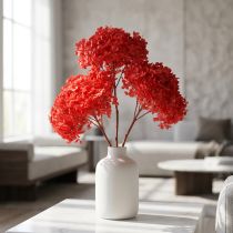 Artikel Decoratieve hortensia: geconserveerde droogbloem voor een elegant interieur