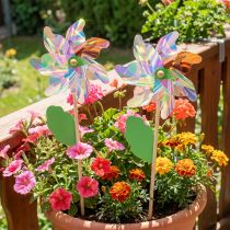 Artikel Pinwheel Bloem met Blad Molen Iriserende Kleuren Ø24cm 2st