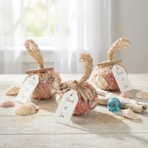 Artikel Maritieme decoratieve schelpenmix in een net, kleurrijk, 3,5-6 cm, 300 g × 3 stuks