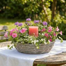 Artikel Wilgenplantenbak, wit, natuurlijke uitstraling, decoratieve ring voor creatieve tuinontwerpen, Ø35/30 cm, set van 2, veelzijdig