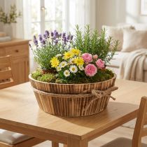 Artikel Houten deco schaal naturel hout Rustieke decoratie Ø28cm H10cm