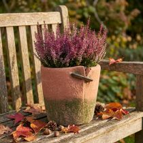 Artikel Betonnen bloempot plantenbak terracotta pot Ø18cm H17cm