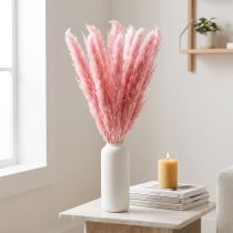 Artikel Droog gras roze decoratief rietgras pampa 70cm 10 stuks