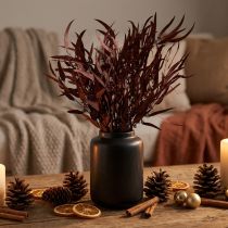 Artikel Eucalyptus Geconserveerde Eucalyptus Takken Rood, Bruin 56cm 135g