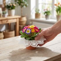 Artikel Biedermeier manchetten 18cm 25 stuks