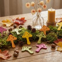 Artikel Strooidecoratie paddenstoelen, herfstdecoratie, gelukspaddenstoelen voor het decoreren van oranje, geel, groen, roze H3,5/4cm B4/3cm 72 stuks